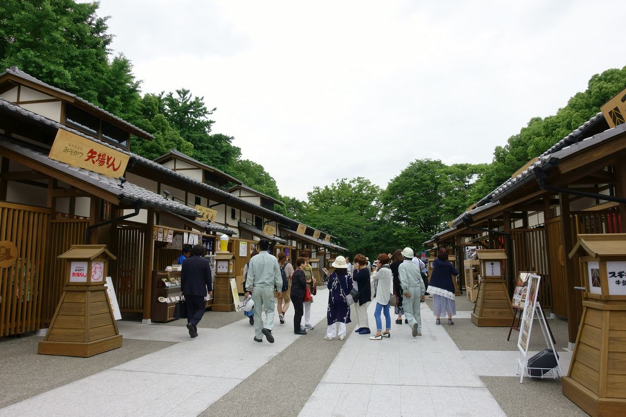 Nagoya Castle & City Highlights Tour (3 Hours)