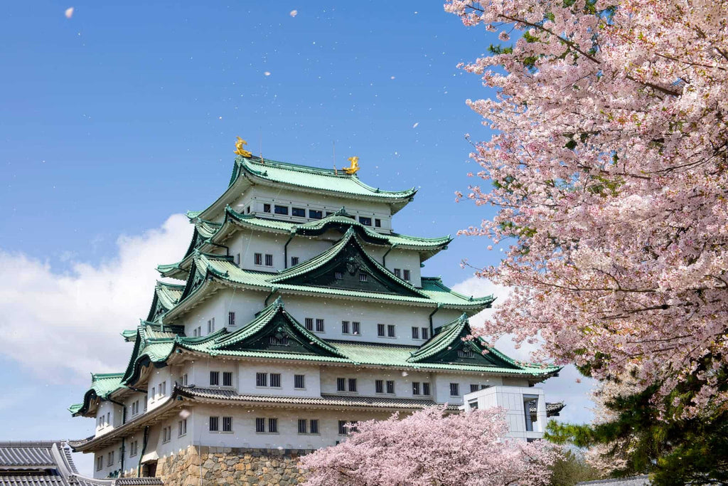 Nagoya Castle & City Highlights Tour (3 Hours)