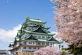 Nagoya Castle & City Highlights Tour (3 Hours)