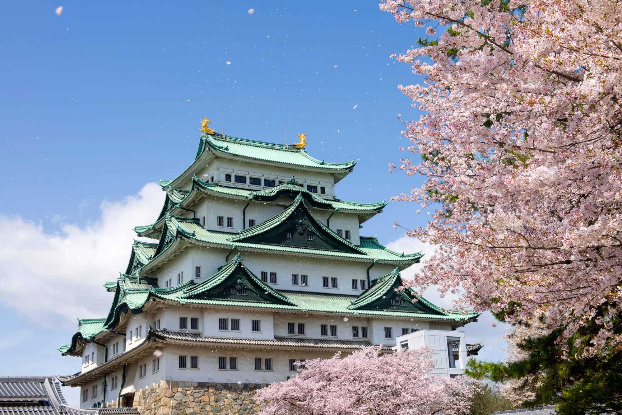 Nagoya Castle & City Highlights Tour (3 Hours)